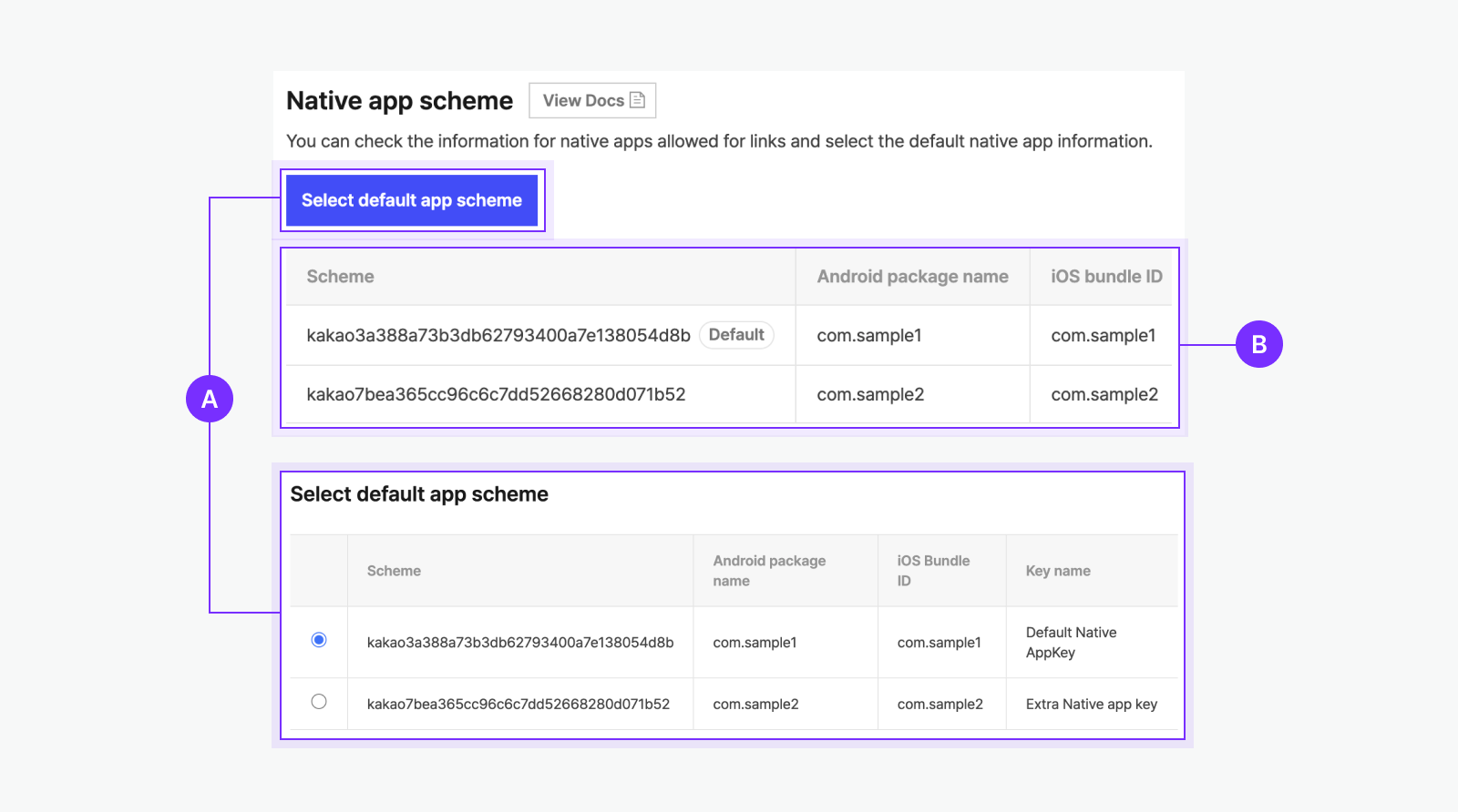 Native app scheme setting